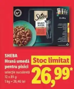 Lidl SHEBA HRANĂ UMEDĂ PENTRU PISICI Ofertă
