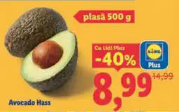 Lidl Avocado Hass Ofertă