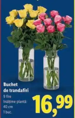 Lidl Buchet de trandafiri Ofertă