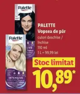 Lidl Palette Vopsea de Păr Ofertă