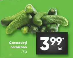 PROFI Castraveţi cornichon Ofertă