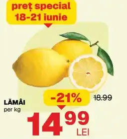 Annabella Lămâi Ofertă