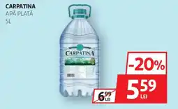 Auchan CARPATINA Ofertă