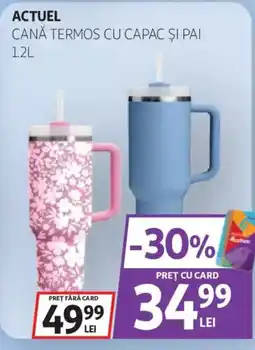 Auchan ACTUEL CANĂ TERMOS CU CAPAC ȘI PAI Ofertă