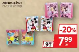 Auchan ARIPIOARE ÎNOT Ofertă