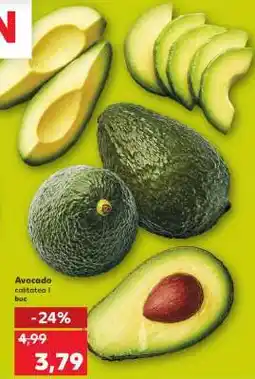 Kaufland Avocado Ofertă