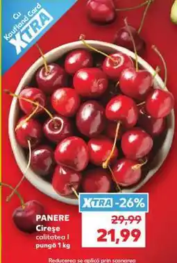 Kaufland Panere Cireşe Ofertă