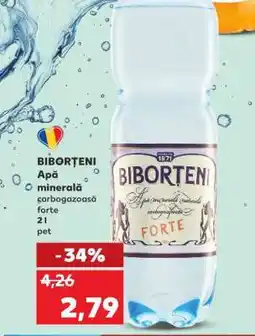 Kaufland Biborțeni Apă minerală carbogazoasă Forte Ofertă