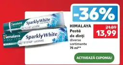 Kaufland Himalaya Pastă de dinți Ofertă