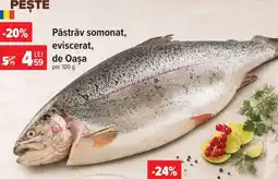 Carrefour Păstrăv somonat, eviscerat, De Oasa Ofertă