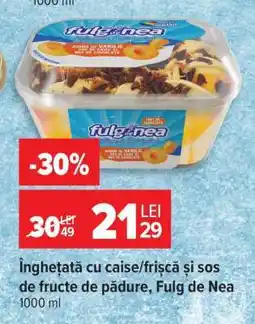Carrefour Înghețată cu caise/frisca și sos de fructe de pădure, Fulg de Nea Ofertă