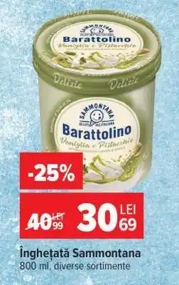 Carrefour Înghețată Sammontana Ofertă