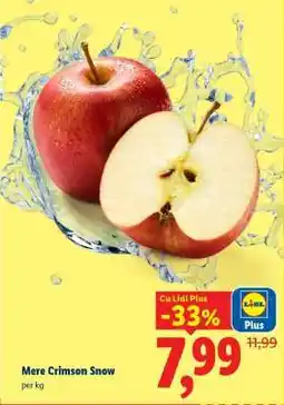 Lidl Mere Crimson Snow Ofertă
