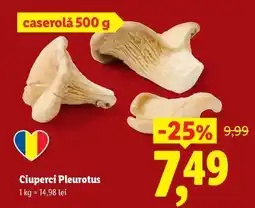 Lidl Ciuperci Pleurotus Ofertă
