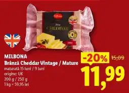 Lidl MILBONA Brânză Cheddar Vintage / Mature Ofertă