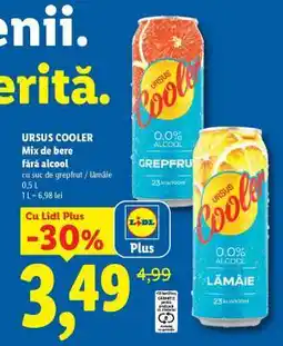 Lidl URSUS COOLER Ofertă