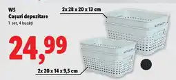 Lidl W5 Coșuri depozitare Ofertă
