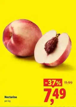 Lidl Nectarine Ofertă