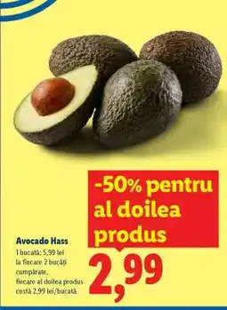 Lidl Avocado Hass Ofertă
