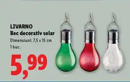 Lidl LIVARNO Bec decorativ solar Ofertă