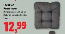 Lidl LIVARNO Pernă scaun Ofertă