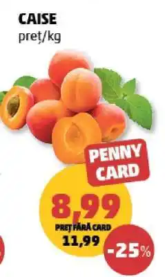 Penny Caise Ofertă