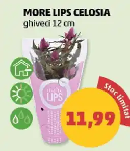 Penny MORE LIPS CELOSIA Ofertă