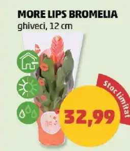 Penny MORE LIPS BROMELIA Ofertă