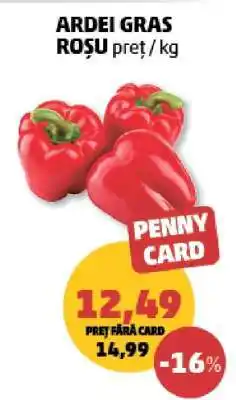 Penny Ardei gras roșu Ofertă