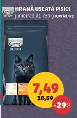 Penny HRANĂ USCATĂ PISICI Ofertă