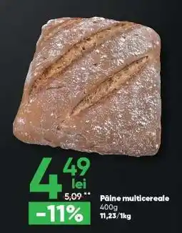 PROFI Pâine multicereale Ofertă