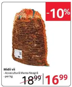 Selgros Midii vii Ofertă