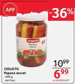 Selgros CEGUSTO Pepene murat Ofertă