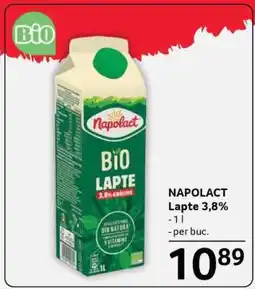 Selgros NAPOLACT Lapte 3,8% Ofertă
