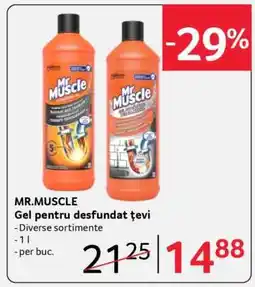 Selgros Mr.MUSCLE Gel pentru desfundat țevi Ofertă