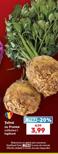 Kaufland Telină cu frunze Ofertă