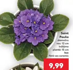 Kaufland Saint Paulia Ofertă