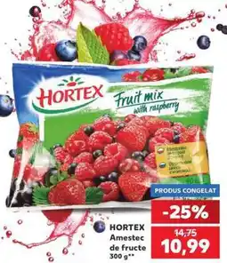 Kaufland HORTEX Amestec de fructe 300 g Ofertă