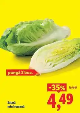 Lidl Salată mini romană Ofertă