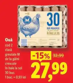 Lidl Ouă Ofertă