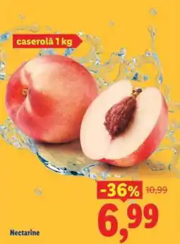 Lidl Nectarine Ofertă