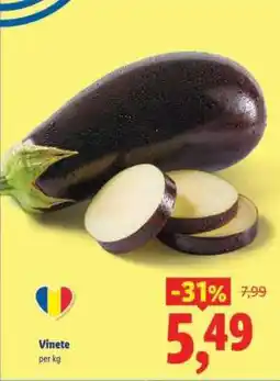 Lidl Vinete Ofertă