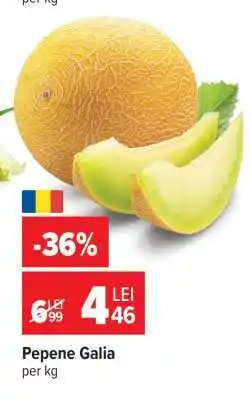 Carrefour Pepene Galia Ofertă