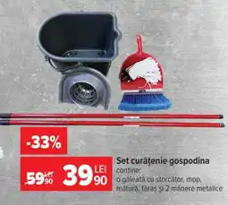 Carrefour Set curățenie “Gospodina” Ofertă