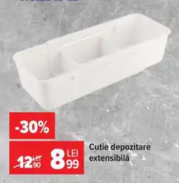 Carrefour Cutie depozitare extensibilă Ofertă