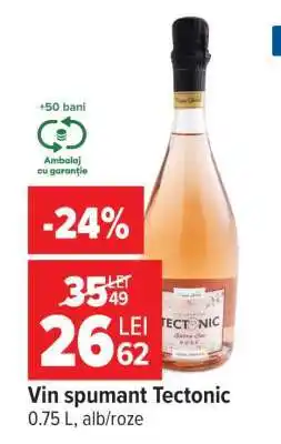 Carrefour Vin Spumant Tectonic Ofertă