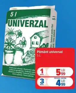 Carrefour Pământ universal Ofertă