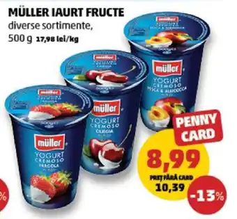 Penny Muller Iaurt Fructe Ofertă