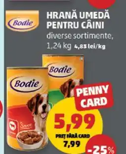 Penny Hrana umedă pentru câini Ofertă