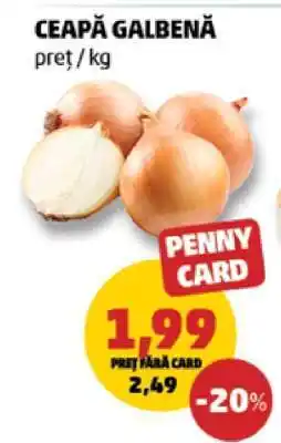 Penny Ceapă galbenă Ofertă